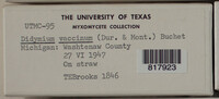 Image Associated With the Occurence